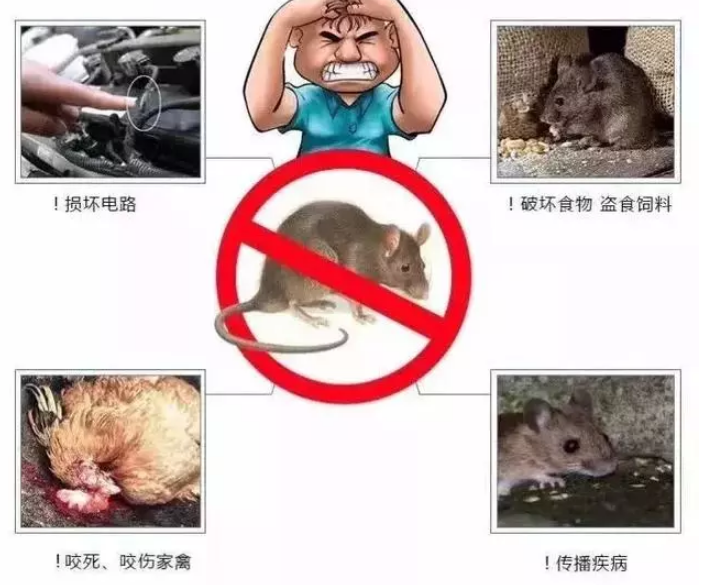老鼠藥廠(chǎng)家